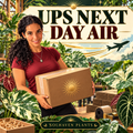 UPS Next Day Air Upgrade