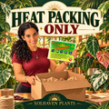 UniHeat 72+ Hour Heat Pack — Shipping Add-On